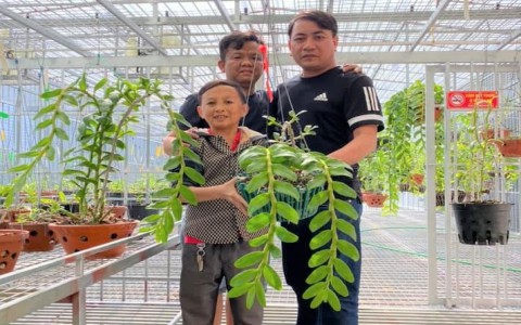 Nghệ nhân Ghin Nguyễn từ niềm đam mê hoa lan đến phát triển kinh doanh